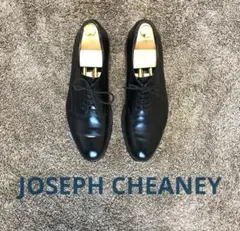 【美品】ジョセフ・チーニー 7/F アルダートン 外羽根オープントゥ