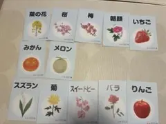 Baby Park オリジナルピクチャーブックレット