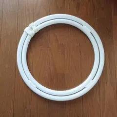 蛍光灯100形