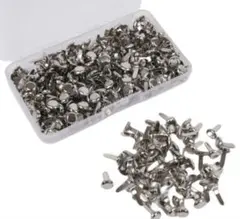 Item thumbnail for item 589e645b-2cbb-46a2-a528-dbbe671a0730