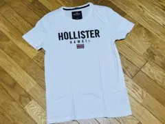 ホリスター メンズ　ハワイ限定　てシャツ　XSサイズ