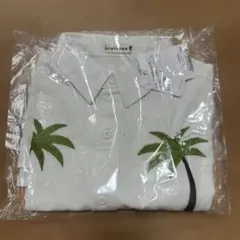 新品、未使用　 ブランシェス　ヤシの木　140