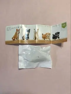 はしもとみお　犬の彫刻　柴犬　白