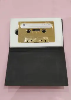 Item thumbnail for item 65ff03e0-0b4b-4d59-9c48-9338e55f1cf4