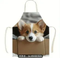 Item thumbnail for item 0ae1452c-c86b-4ec3-89e2-7ce6e095a576