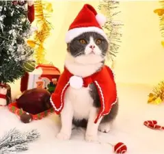 Item thumbnail for item 64e6254d-da40-4bb7-8444-28f836229529