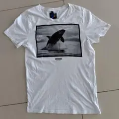 ホワイトシャチグラフィックTシャツ S