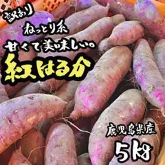 【鹿児島産】紅はるか 5㎏ 訳あり さつまいも 鳴門金時好きにもc