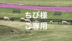 シーリングスタンプヘッド　人物と生き物