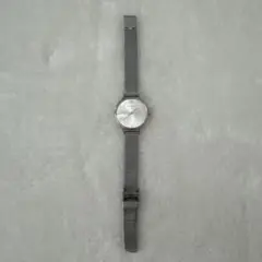 SKAGEN SKW2340 シルバー 腕時計
