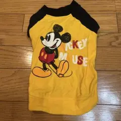 Item thumbnail for item 6a26729d-2b73-481e-badf-c7a652cddf55