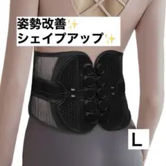 腰 サポーター 腰コルセット 10個滑車強力固定 メッシュ通気 二重加圧式 Ｌ