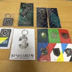 【新品 未開封】欅坂46 エンブレムピンズセット その他まとめ売り