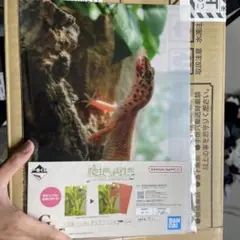 Item thumbnail for item c0c3d24f-0f7d-41de-afdf-d27ebb932a05