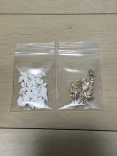 即購入⭕️ 自然な貝殻 2パックセット