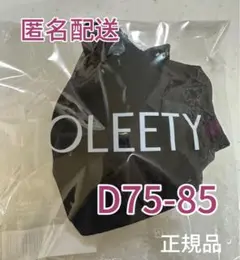 TOLEETY 軽やかストゥリーティー ブラ ブラック D75-85 v3