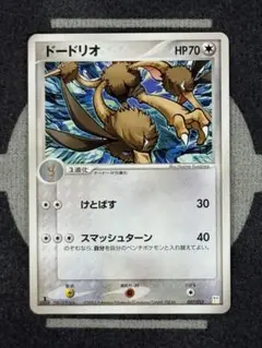 【10点2500円引き】ドードリオ(マスターキット)