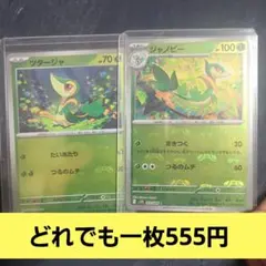 ツタージャとジャノビー ポケモンカードセット