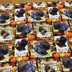 USAコットン　秋　オータム　ターキー　ハロウィン　カボチャ