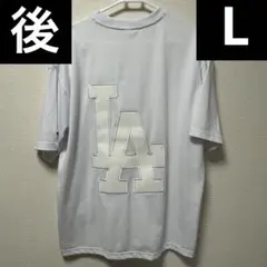 Item thumbnail for item f529856a-111a-414b-b178-773e8de4bf82