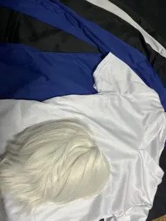 Item thumbnail for item 0544270f-0054-4645-89a5-20fd3c23a934