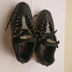 Nike Air Max 95 ブラック/マルチカラー