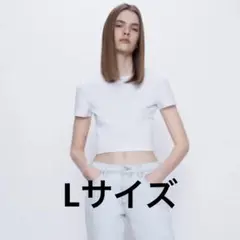 ZARA ザラ クロップド丈Tシャツ L ホワイト 白