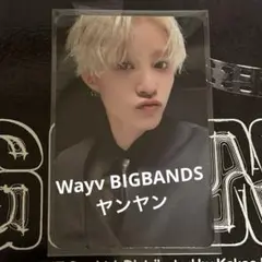 【威神V WayV BIG BANDSトレカ】 ヤンヤンON ver.