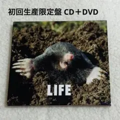 フジファブリック LIFE 初回生産限定盤 CD＋DVD