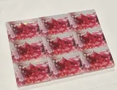 プロセカ 白石杏 ノーブルアート