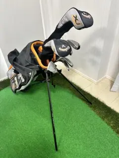 Item thumbnail for item 5f74ebc6-7843-4891-b923-a4fda0df86a1