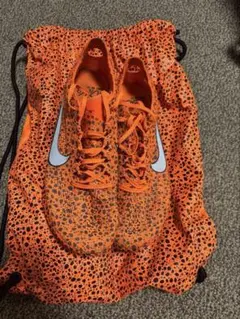 Item thumbnail for item 7980706a-69f8-49af-9c28-5ab95d4b829f