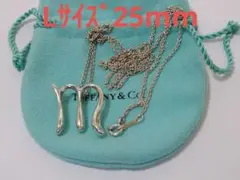 ティファニー TIFFANY イニシャルM ネックレス