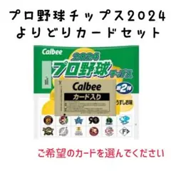 プロ野球チップスカード2024 1枚30円　よりどりカード　バラ売り