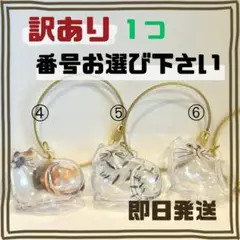 【訳あり】　毛玉ボトル　けだまだま　猫　毛玉ボトル　けだまボトル