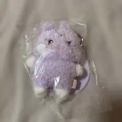 ANITEEZ サンドキ