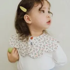 【おまとめ依頼可能】 コニースタイ　レッドベリー