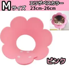 Item thumbnail for item b8ddc60b-e4a8-4f6e-9332-35caedf9109f