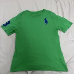 ポロラルフローレン　Tシャツ　150センチ