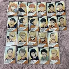 ハイキュー スナップマイド 烏野 コンプリート