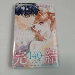 どうしようもない僕とキスしよう 11
