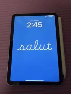 Apple iPad mini6 海外版Apple Pencil付◆美品◆64㌐