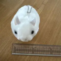 Item thumbnail for item 068e9ef5-d95d-4d80-9ee3-34d9515bcee0