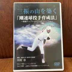 三振の山を築く 剛速球投手育成法 DVD