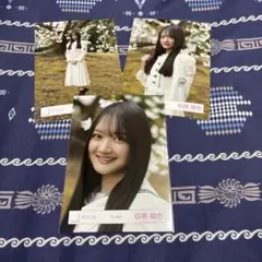 櫻坂46 4期生12th制服 目黒陽色　コンプ