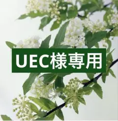 専用
