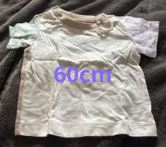 Item thumbnail for item 3ee69311-aed3-439a-8c50-74a9a2b0483e