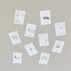 選び取りカードセット 10枚