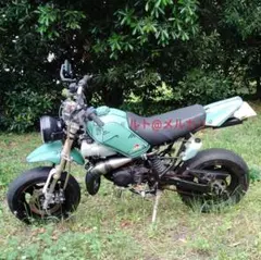 m70491249429_1.jpg?1717069957