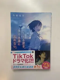 一瞬を生きる君を、僕は永遠に忘れない。